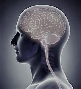 Part FCL 040-01 - Basic Aviation Psychology