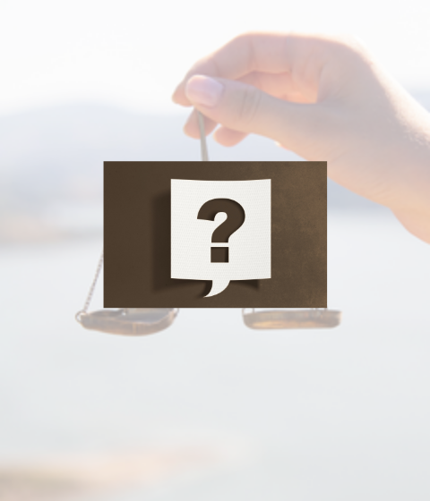 DSPq - Aircraft Mass (Weight) Balance and Control